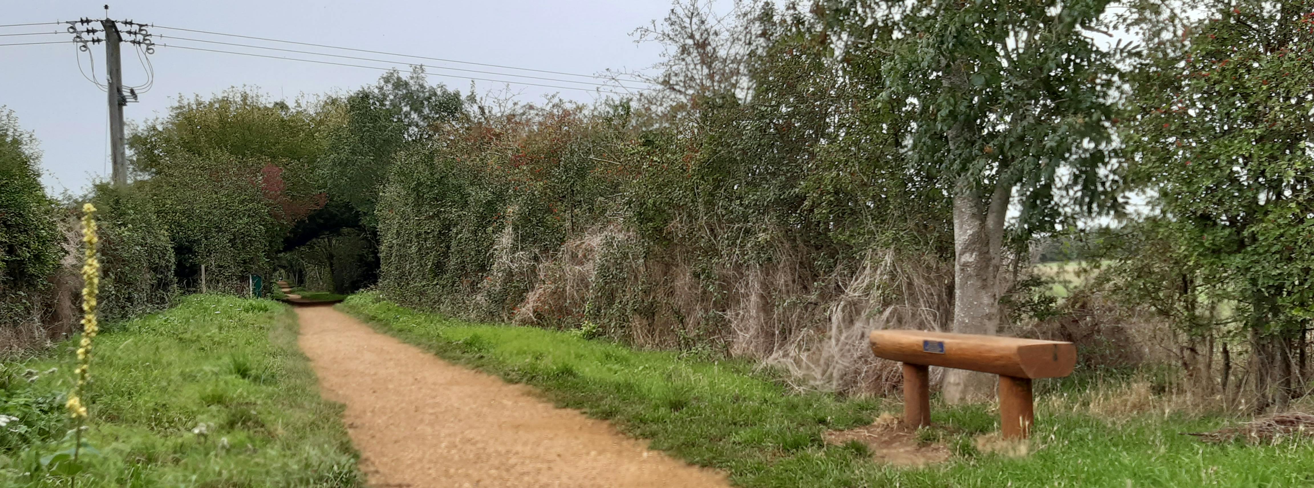 Path with bench