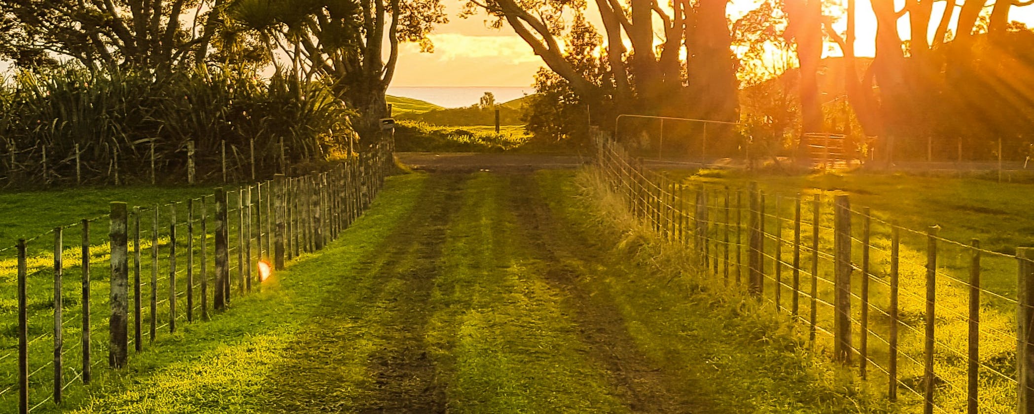 Road sign reading 'Public Footpath'