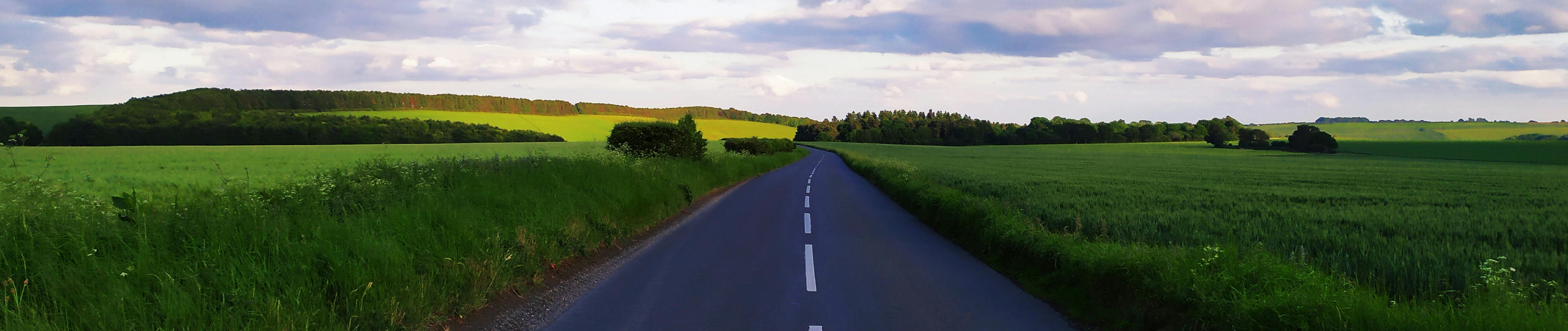 Country road with trees either side