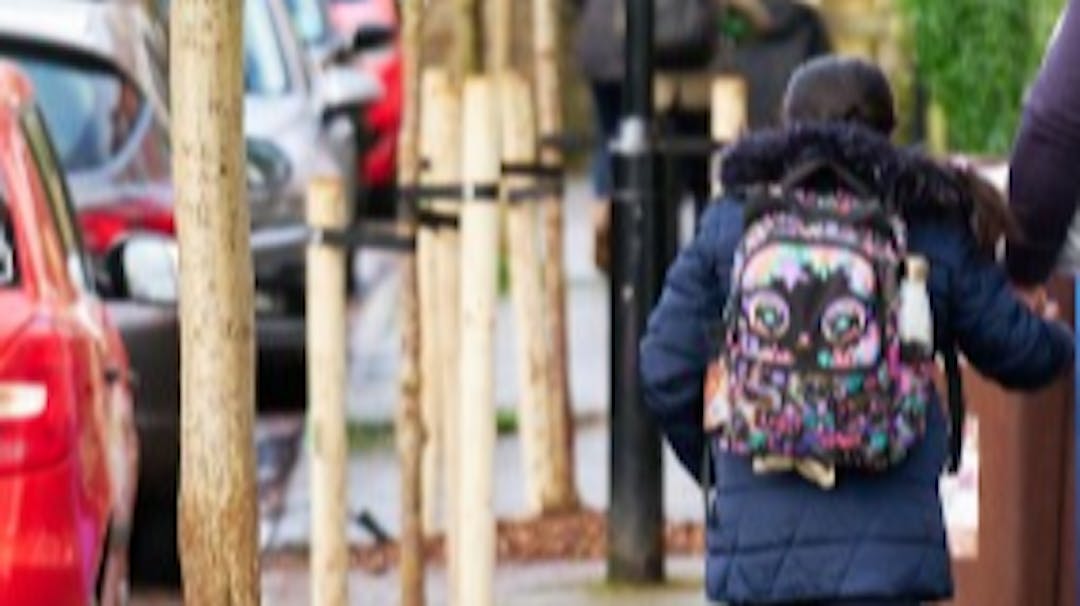 An adult is walking on a tree-lined street holding a child's hand. Their backs are to the camera. 