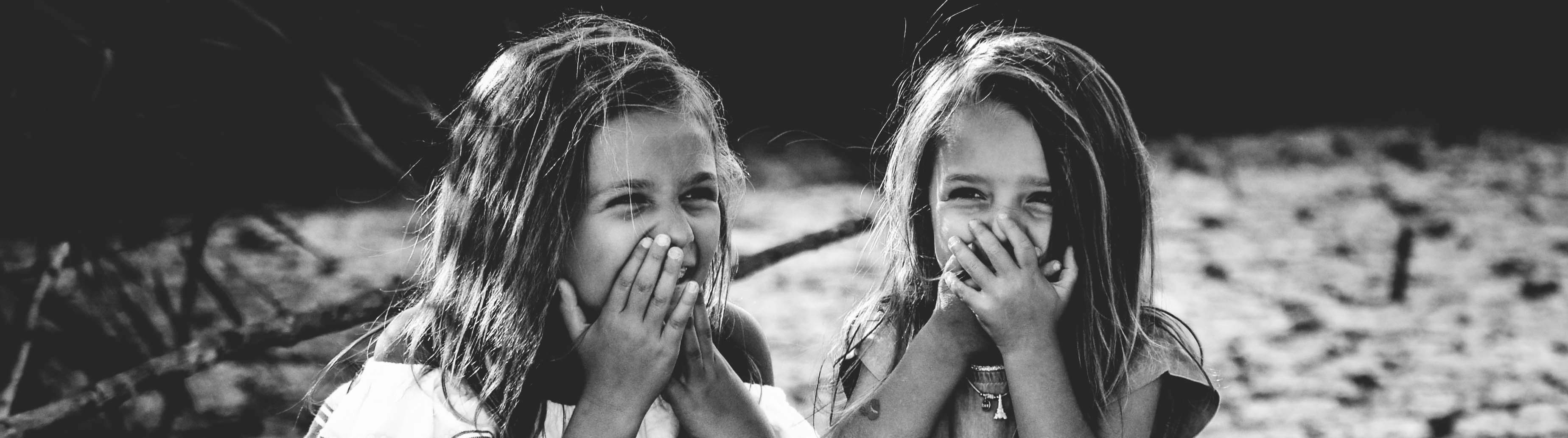 Colourful wild flowers