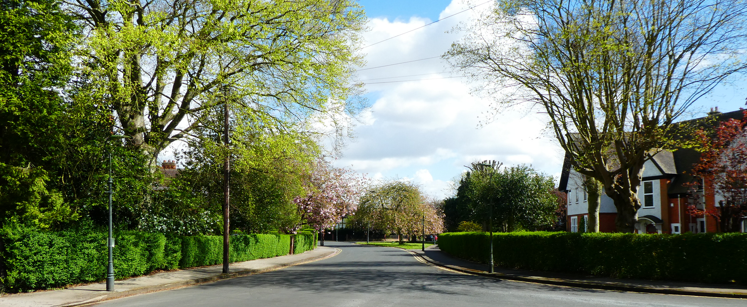 Newland Park Conservation Area Public Consultation Yoursay Hull