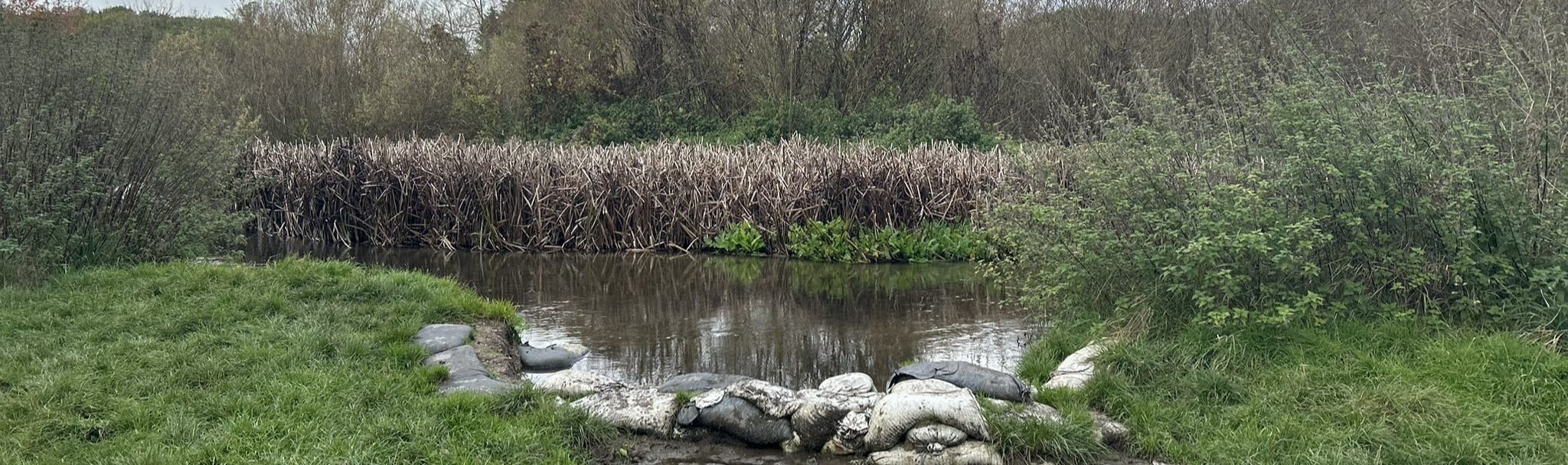 View of a river bank with sand bags at the River Chess