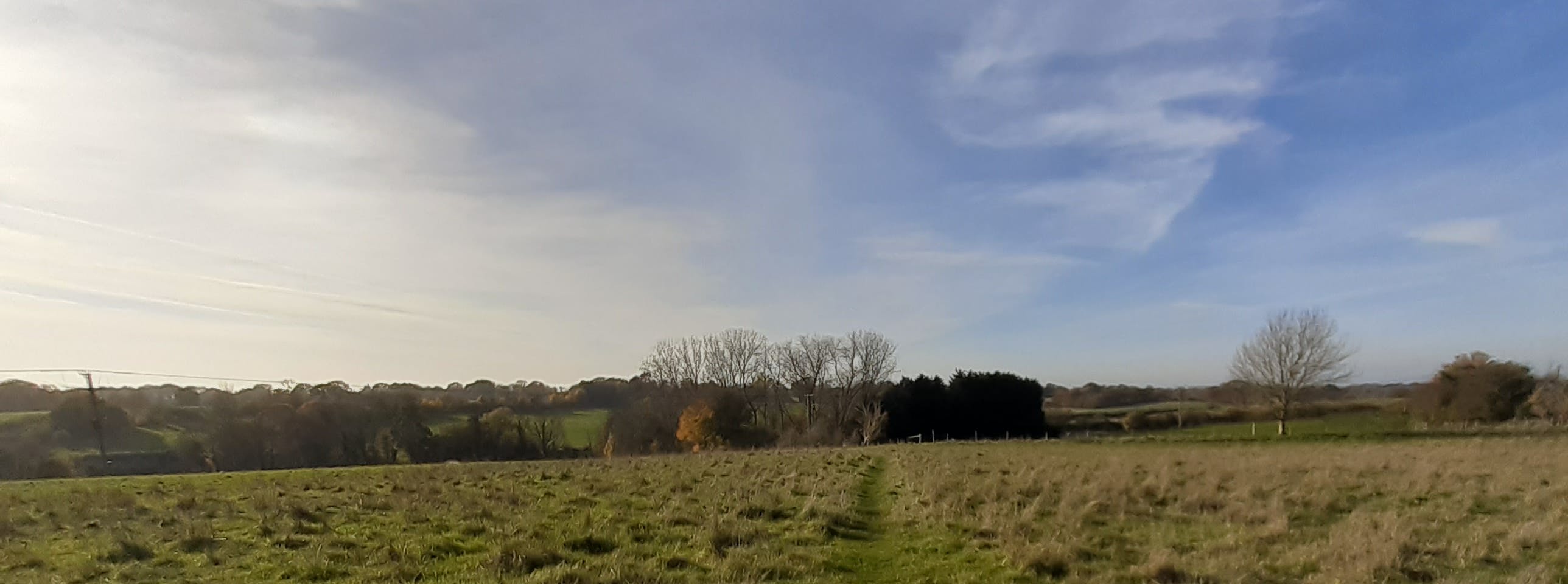 Path across field