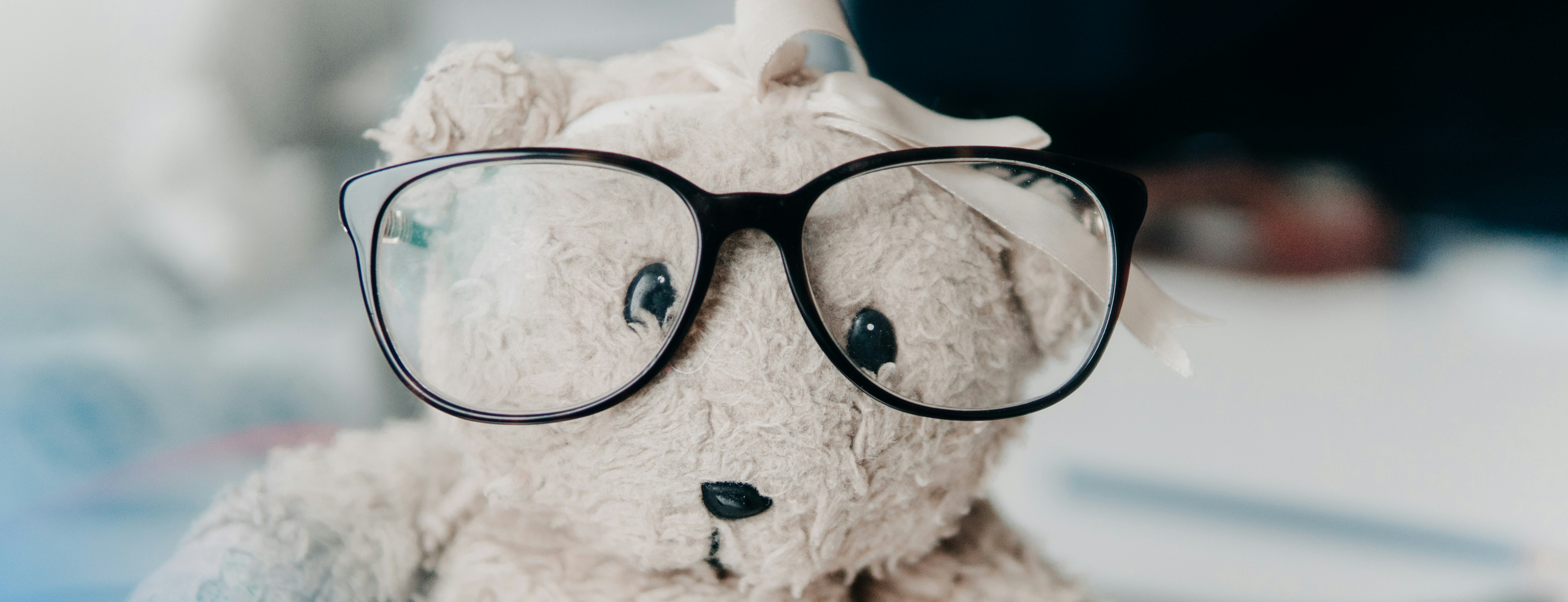White teddy wearing glasses