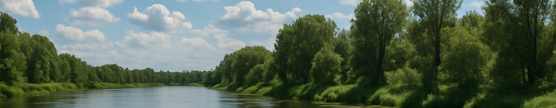 River flanked with trees