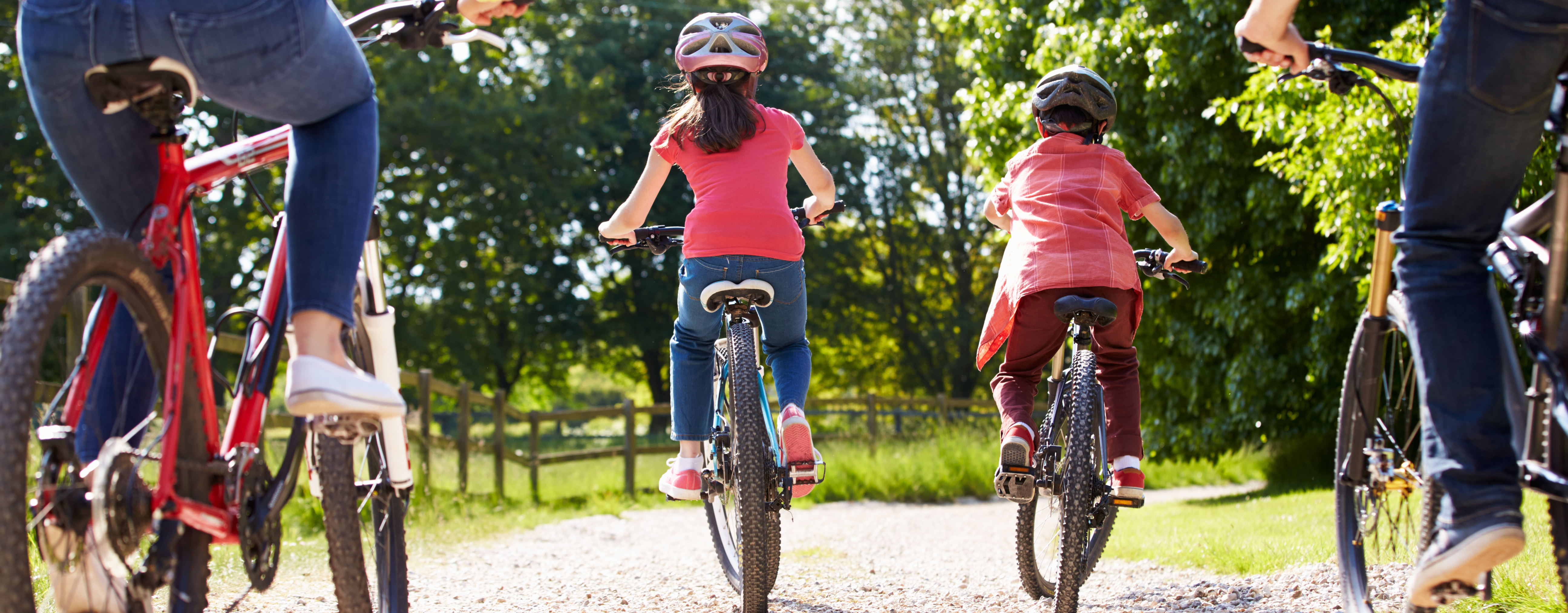 Family summer cycling 