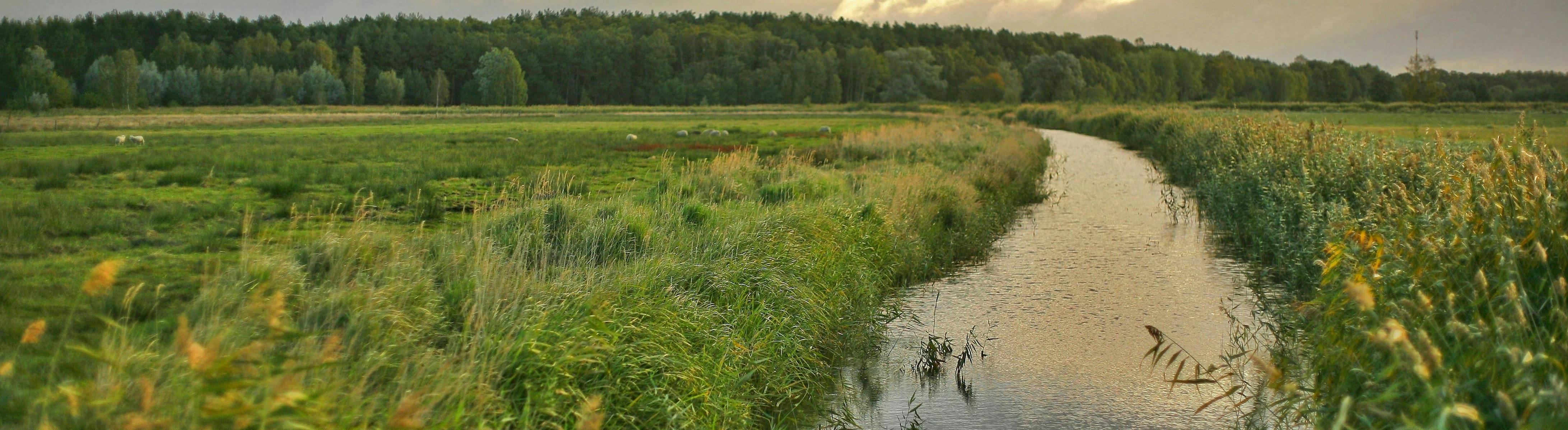 Landscape of the River Trent on a sunny day
