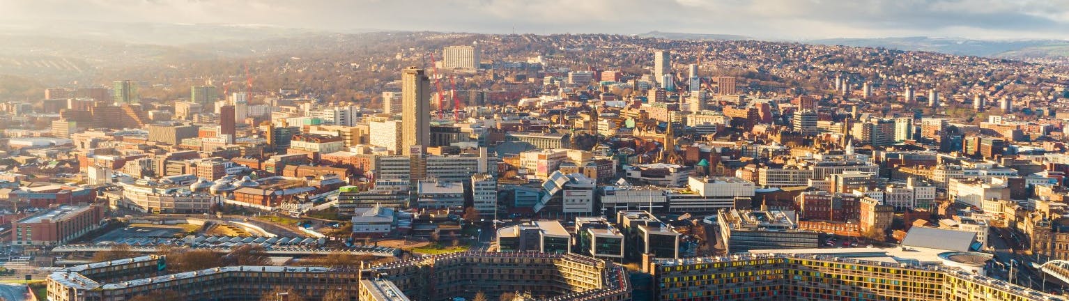 Leaseholder Survey