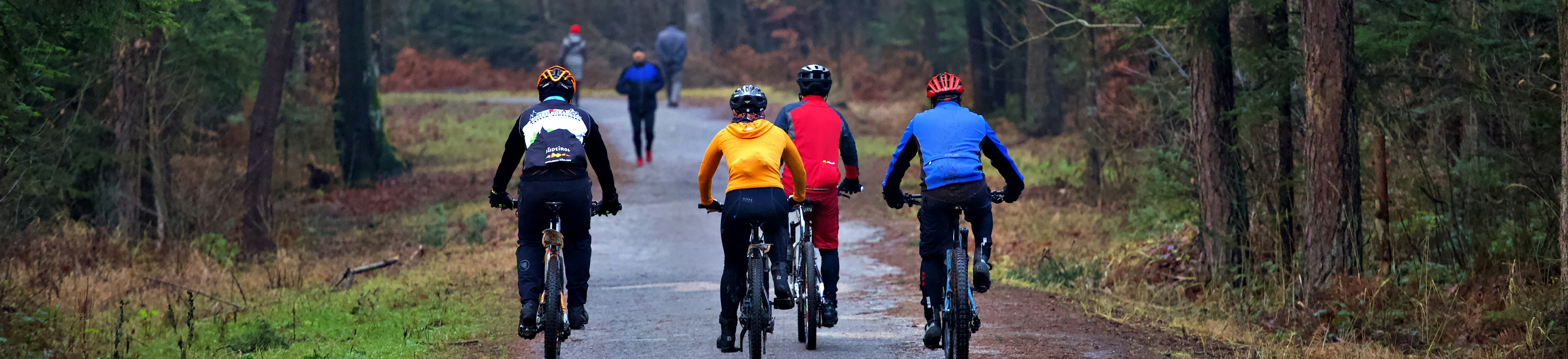 Group of cyclist cycling through woodland