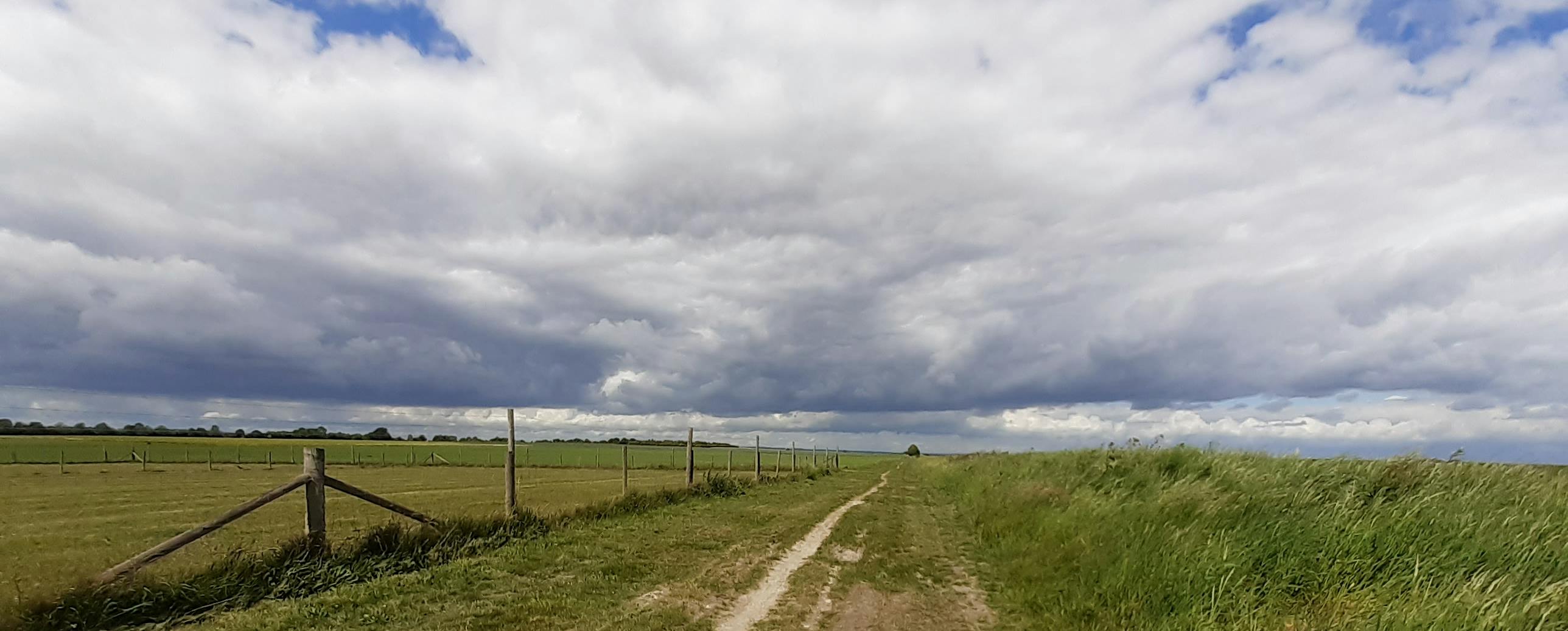 Path beside a field