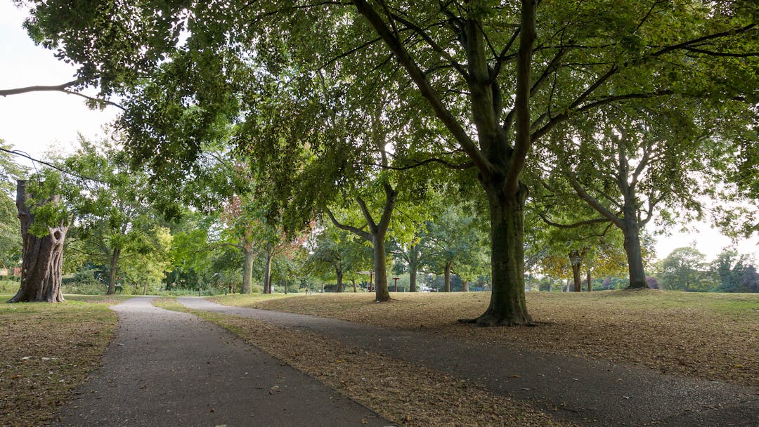 Trees and parks 