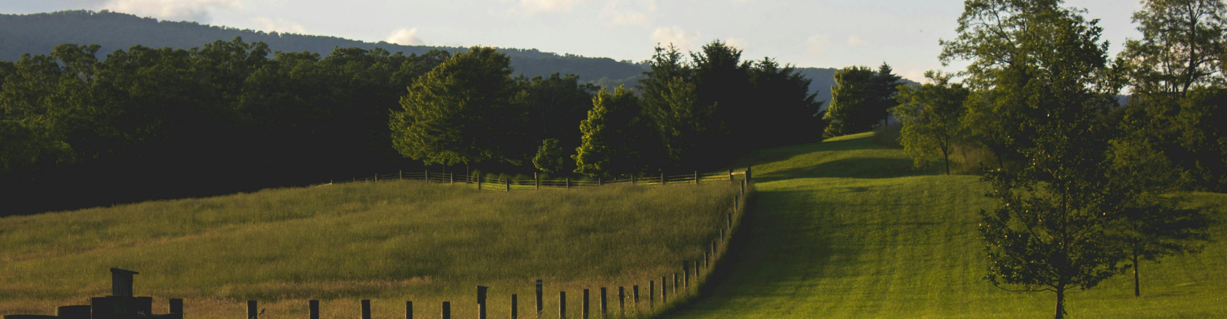 field fence