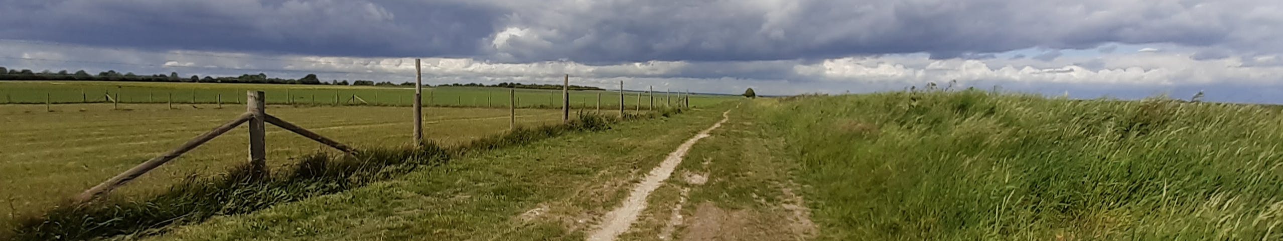Path beside a field