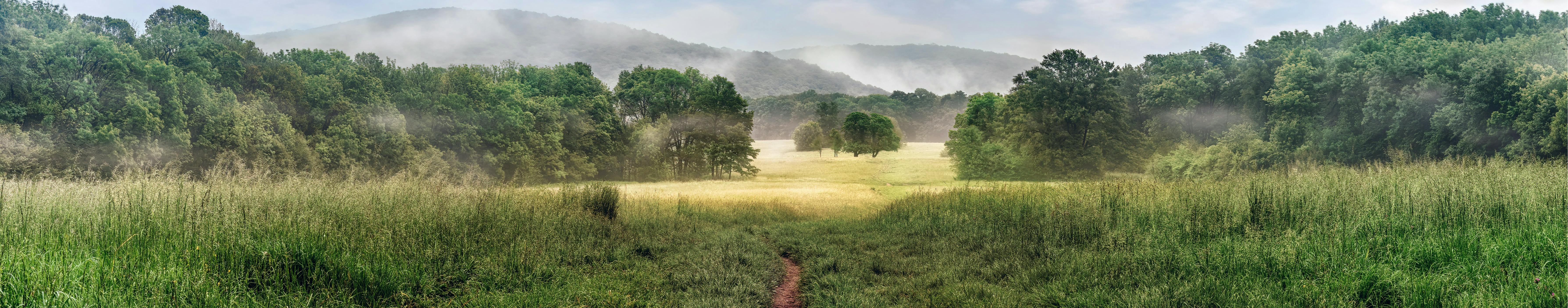 Path cutting through field