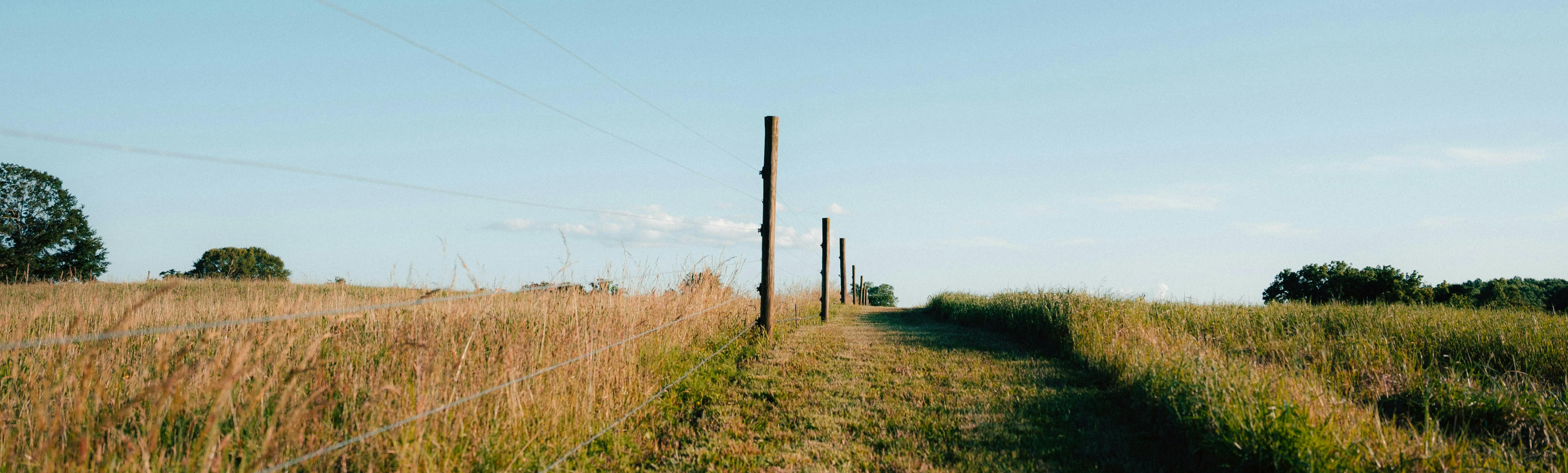 Path beside a field