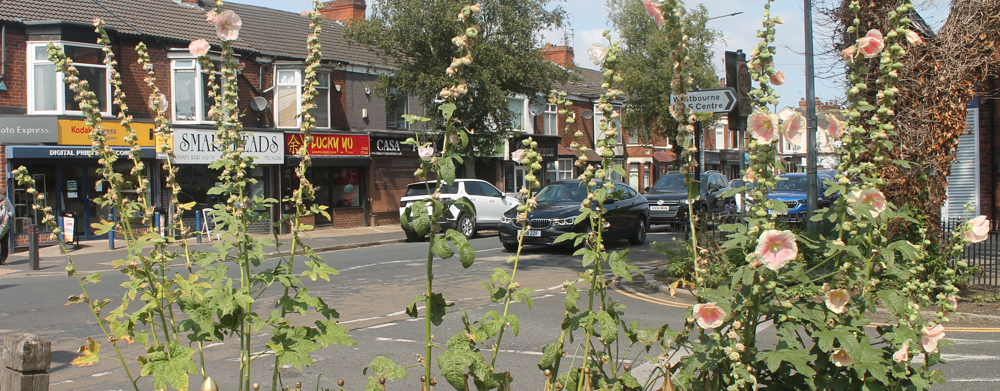 A photograph taken of the Chanterlands Avenue