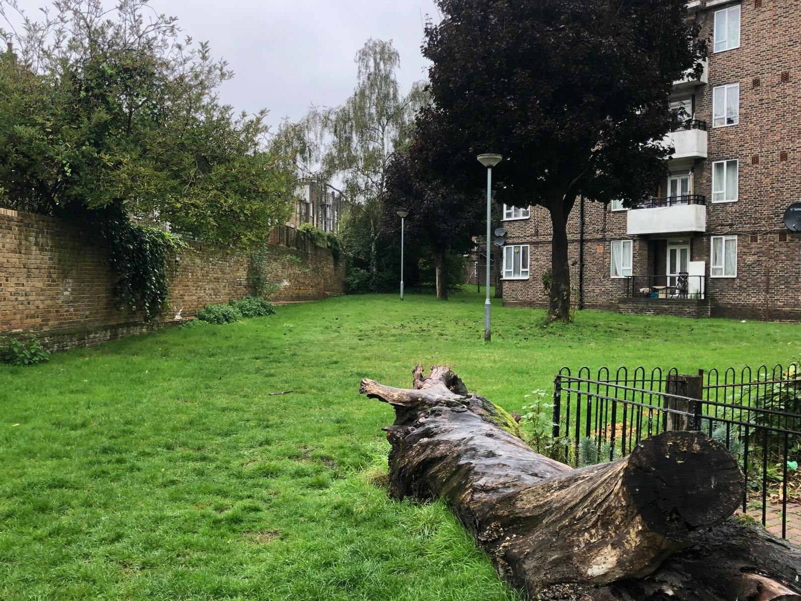 A photograph of the green space to the rear of Price House and Strang House on Cumming Estate. 