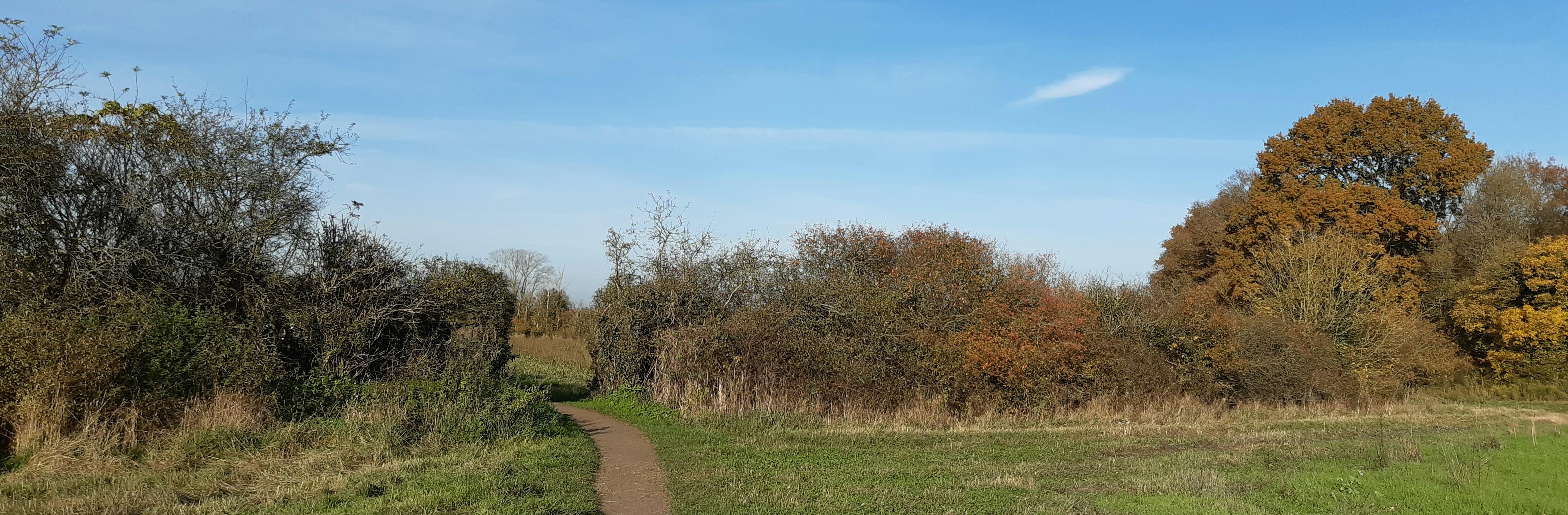 Path through field
