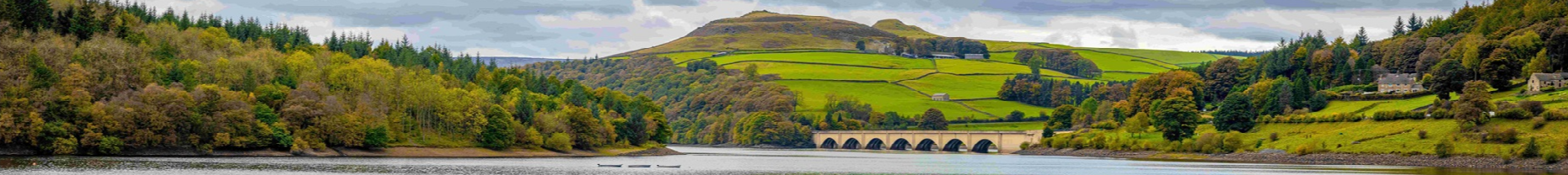 project banner