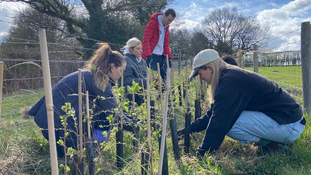 Volunteers help to plant new hedgerows
