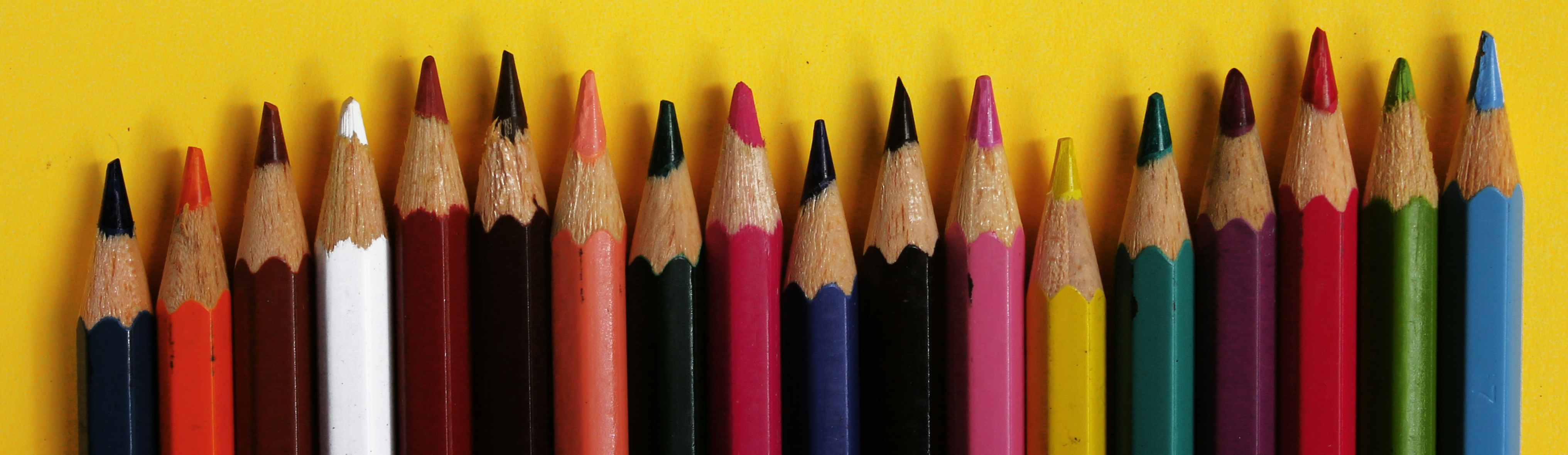 Coloured pencils in a row