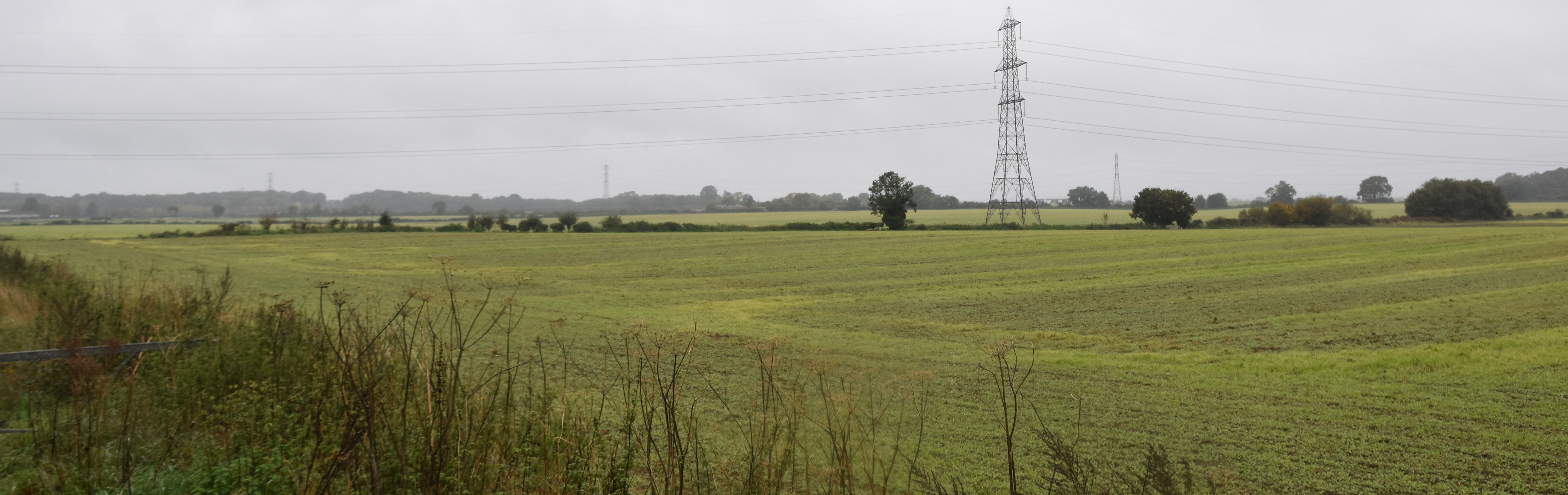 Culham countryside