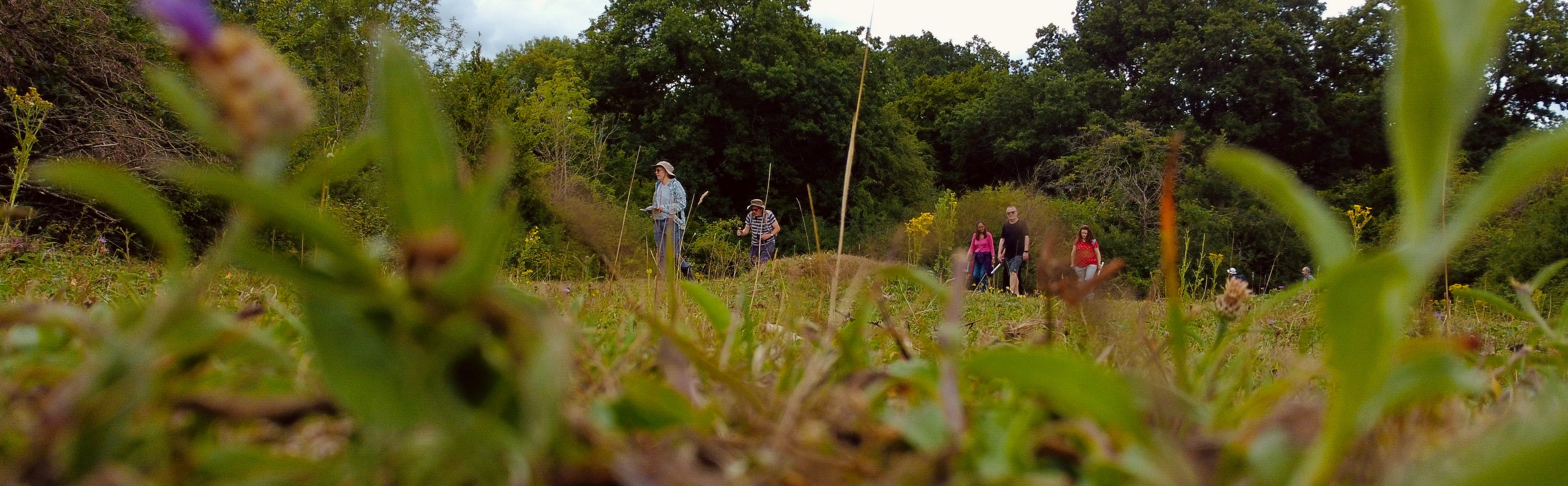 People out walking in Harrow