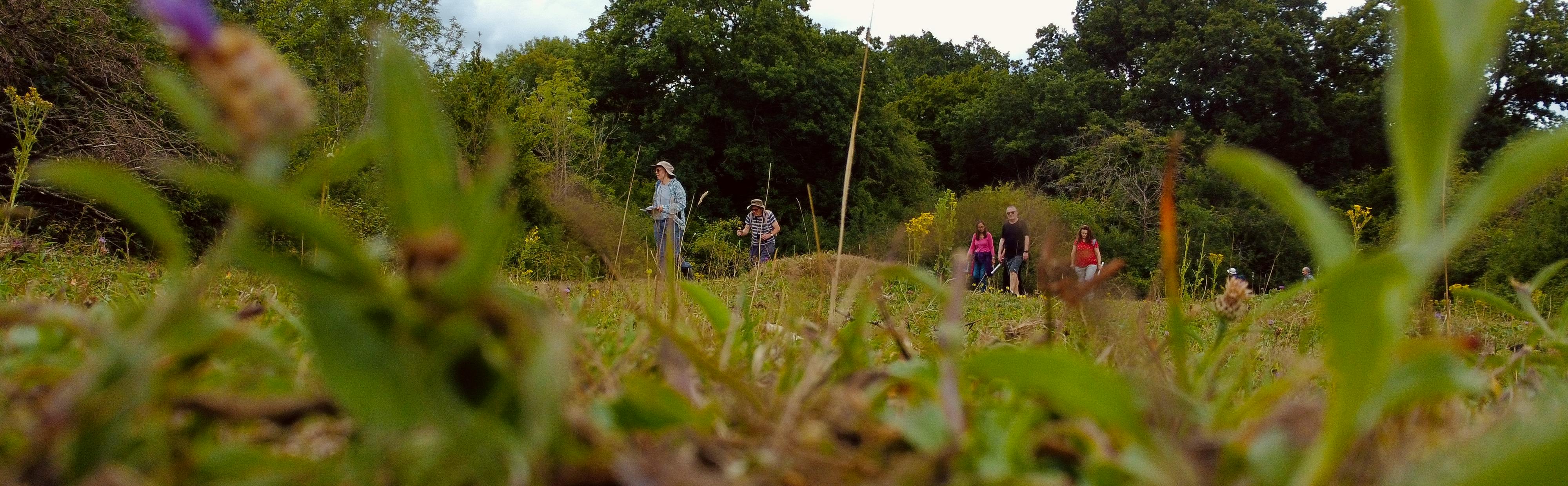 People out walking in Harrow