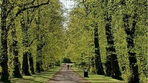 Images of Hillsborough Park, with some text decorative purposes only