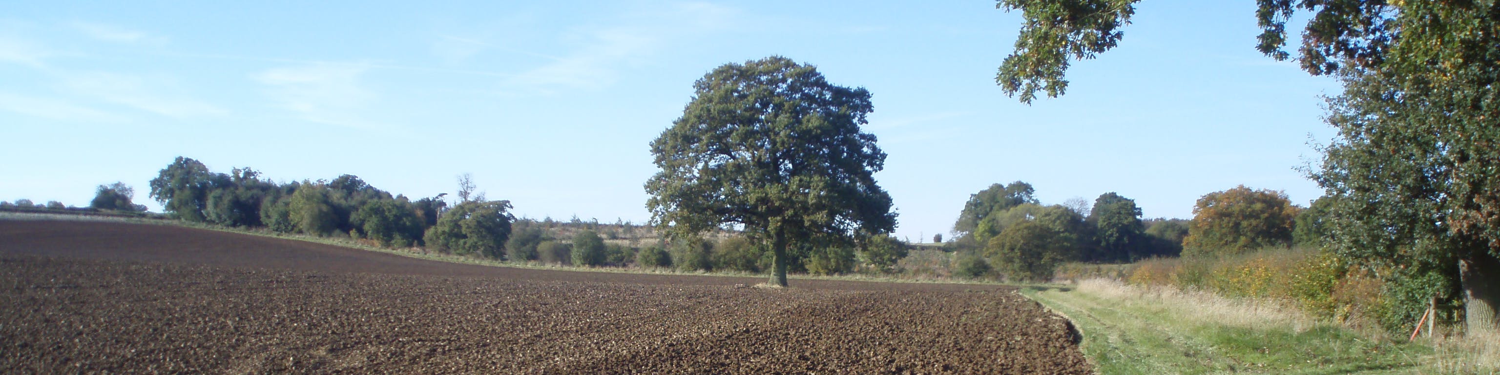 Freshly ploughed field