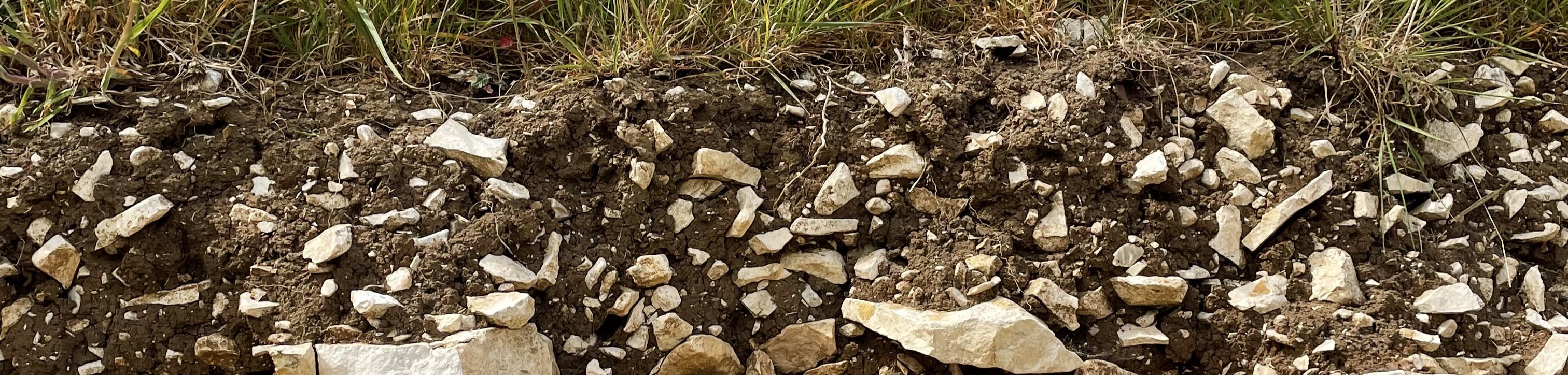  Chalk soil profile