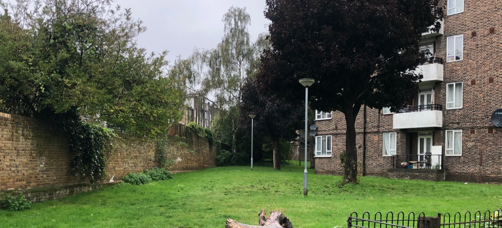 A photograph of the green space to the rear of Price House and Strang House on Cumming Estate. 