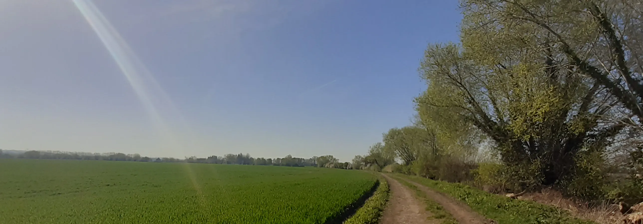 Path through field