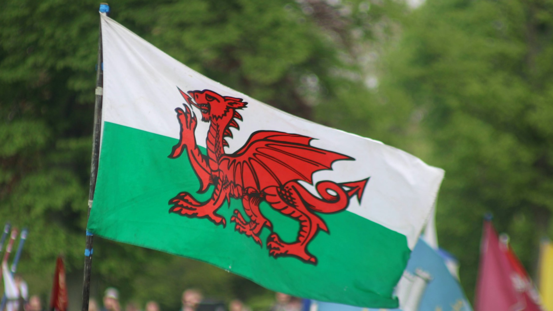 project banner