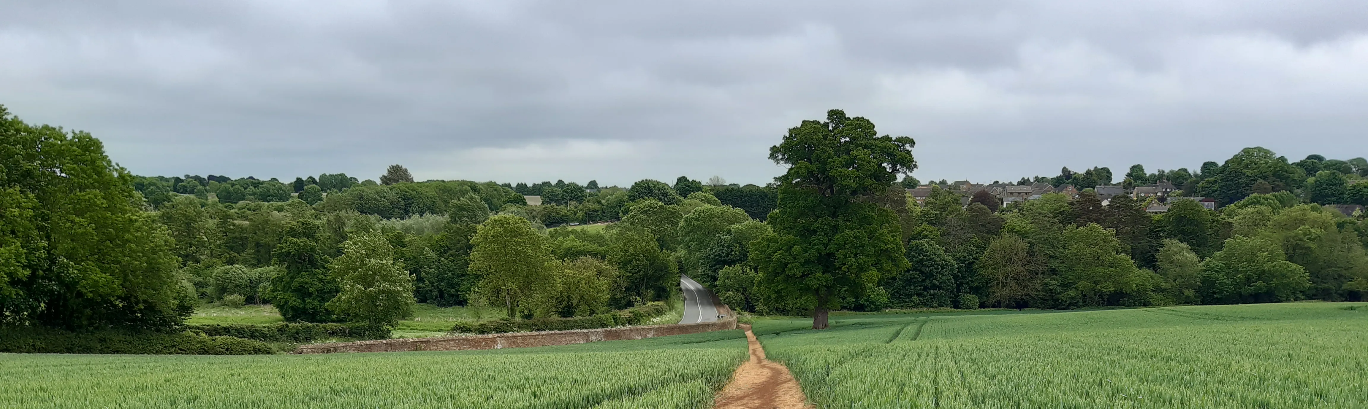 Path through field