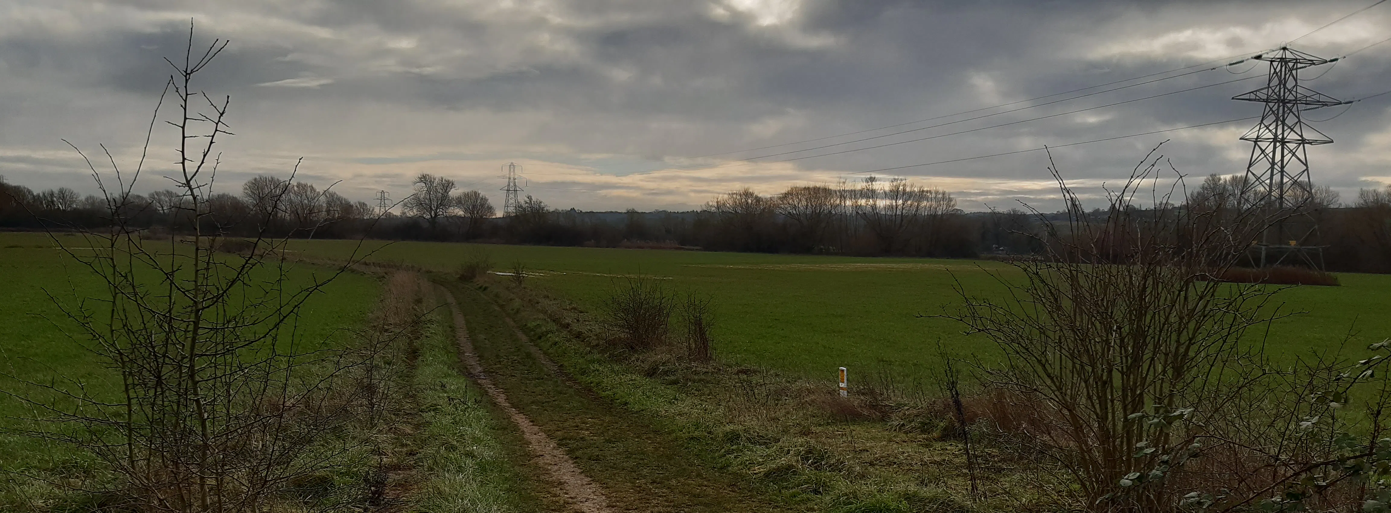 Path through field