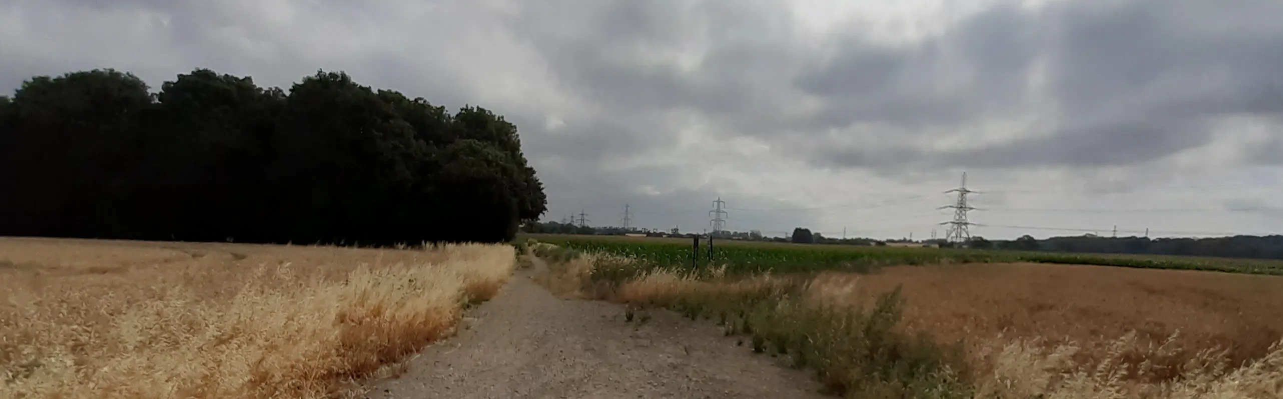 Path through field