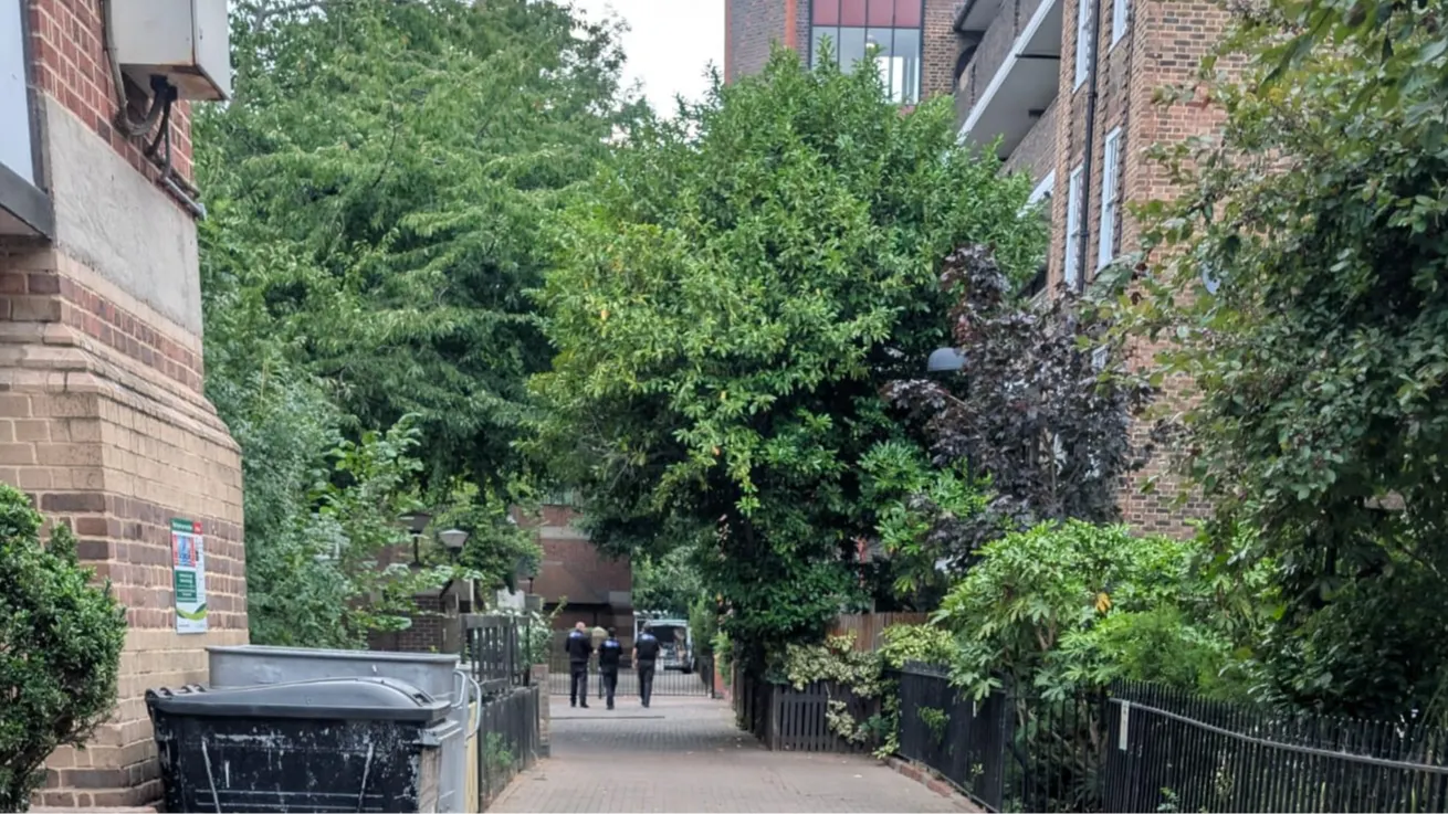 View on Loraine Estate looking towards Buckmaster blocks. Three Parkguard officers patrolling