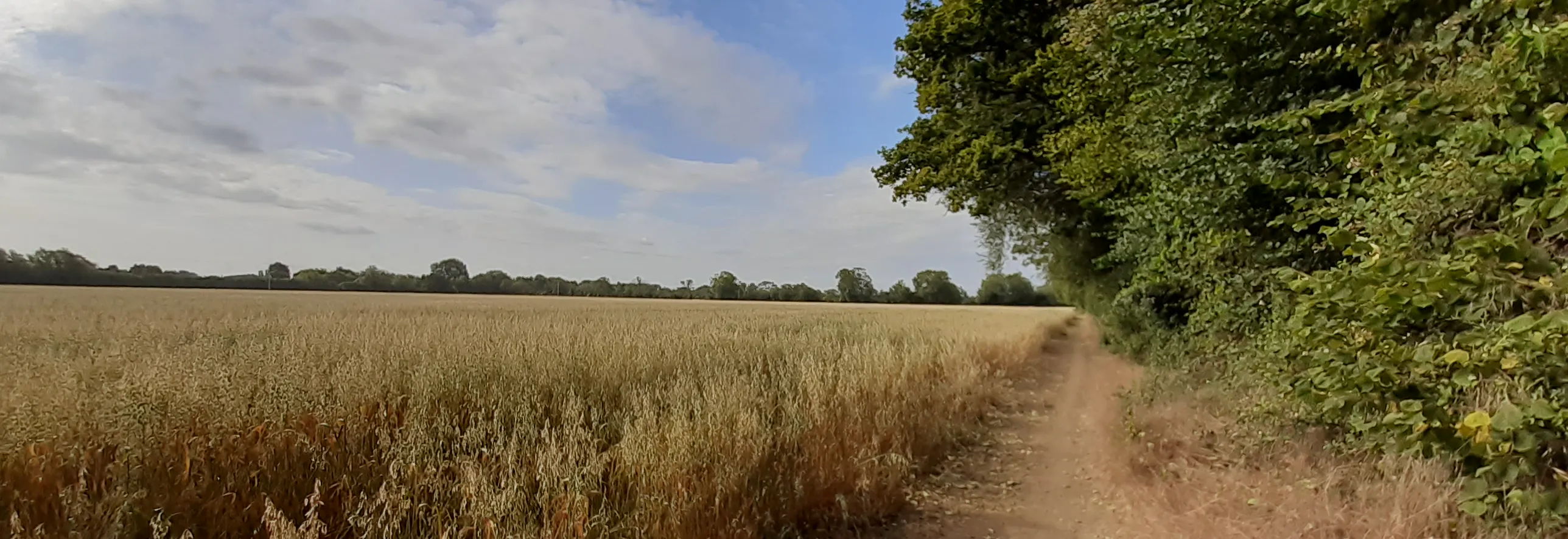 Path through field