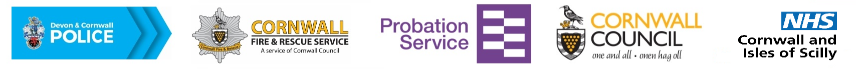 project banner