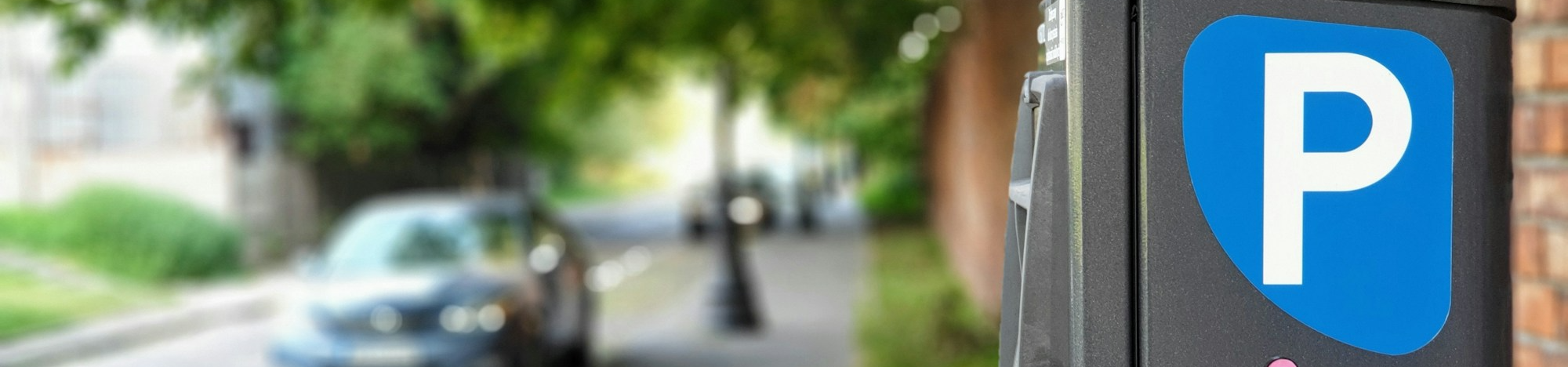 project banner