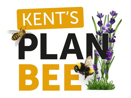 Team member, Kent's Plan Bee