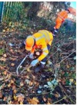 Site being cleared by environmental stewards