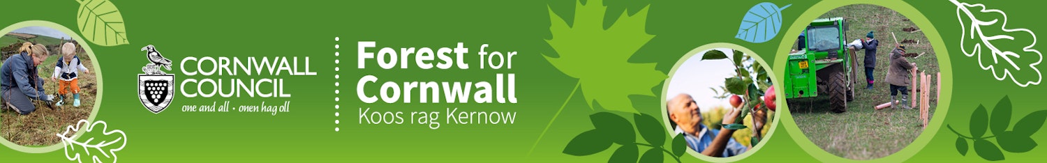 project banner