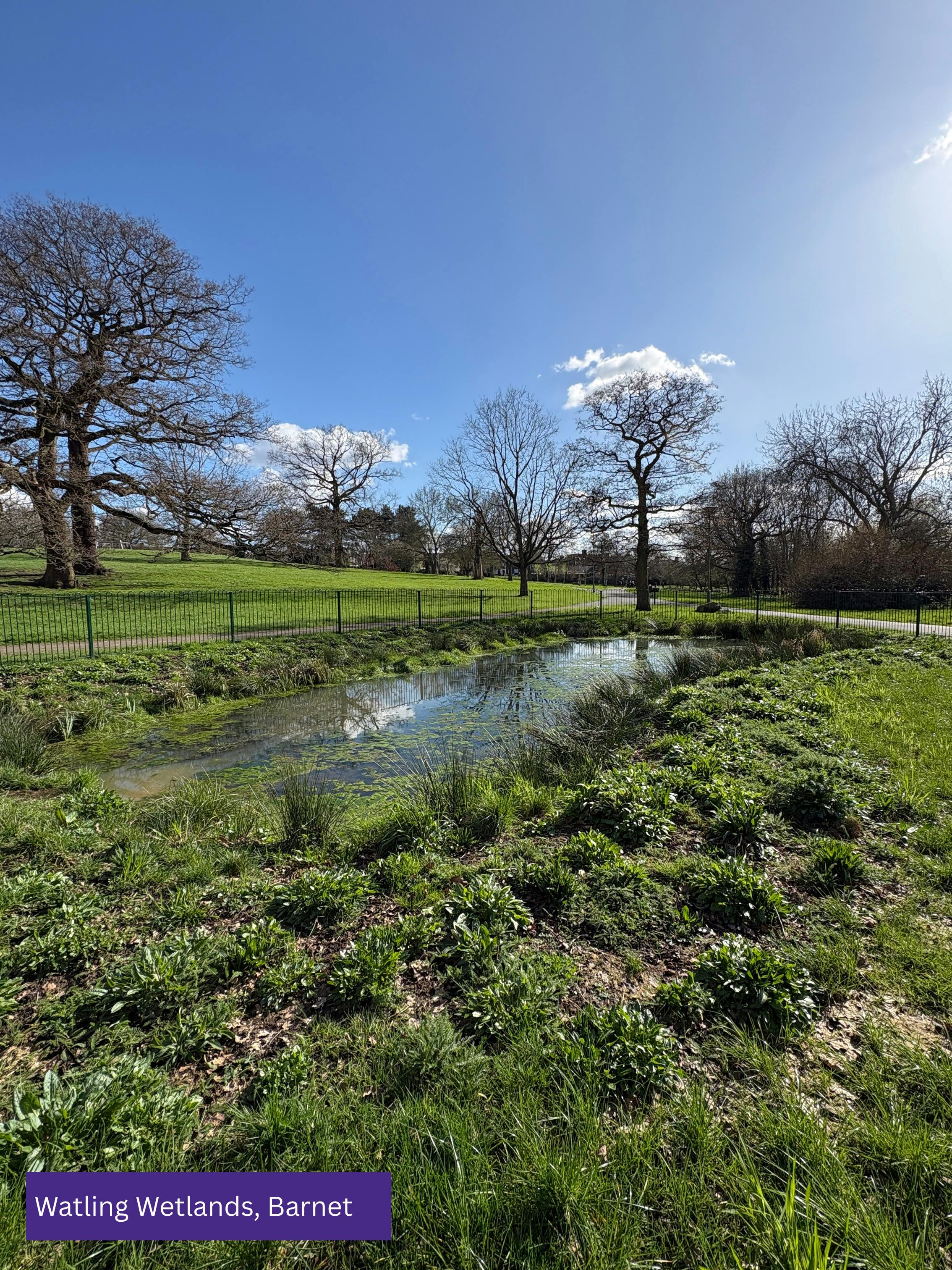 Watling Wetlands Barnet.png