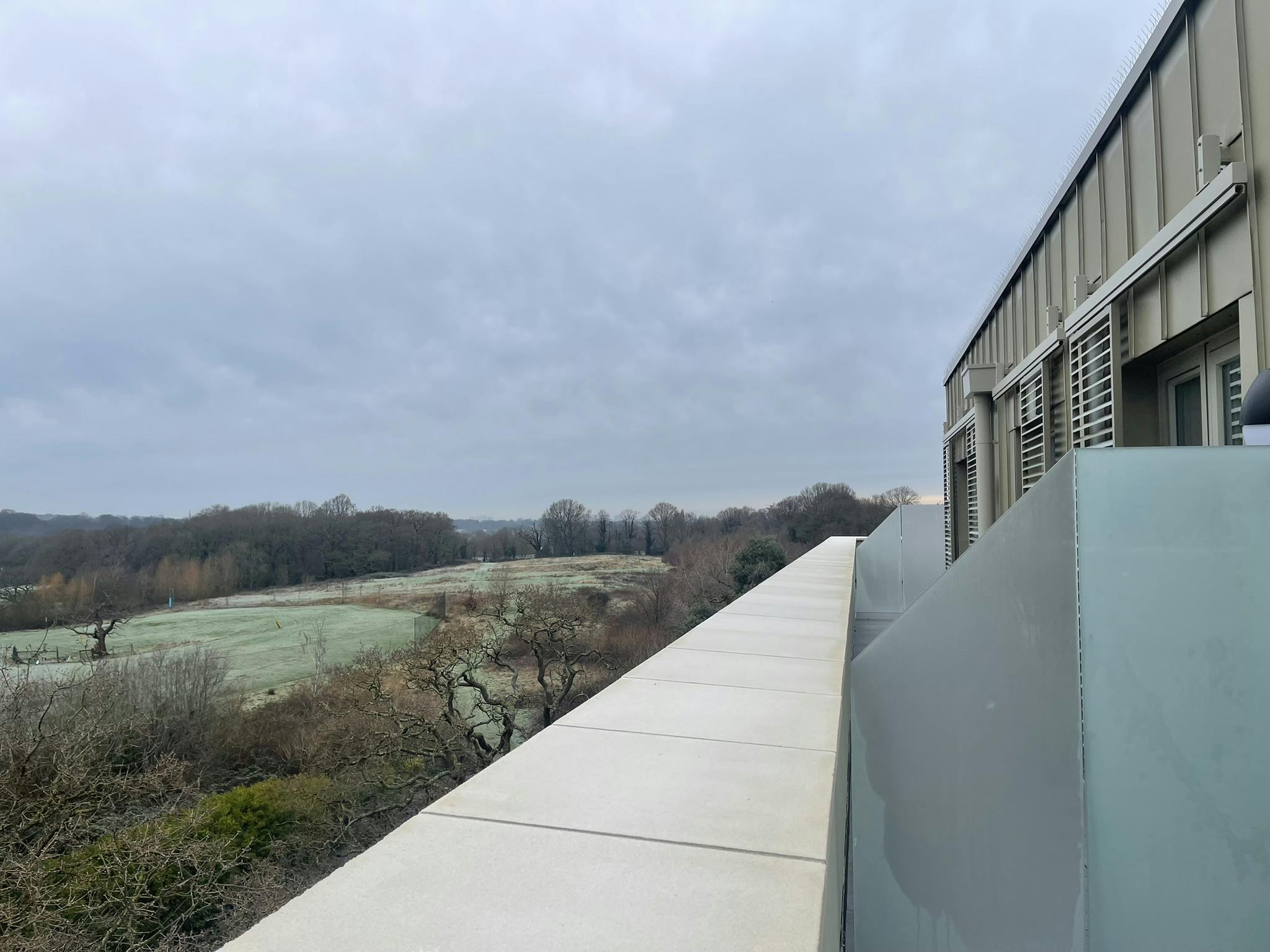 View of Richmond Park from Block C