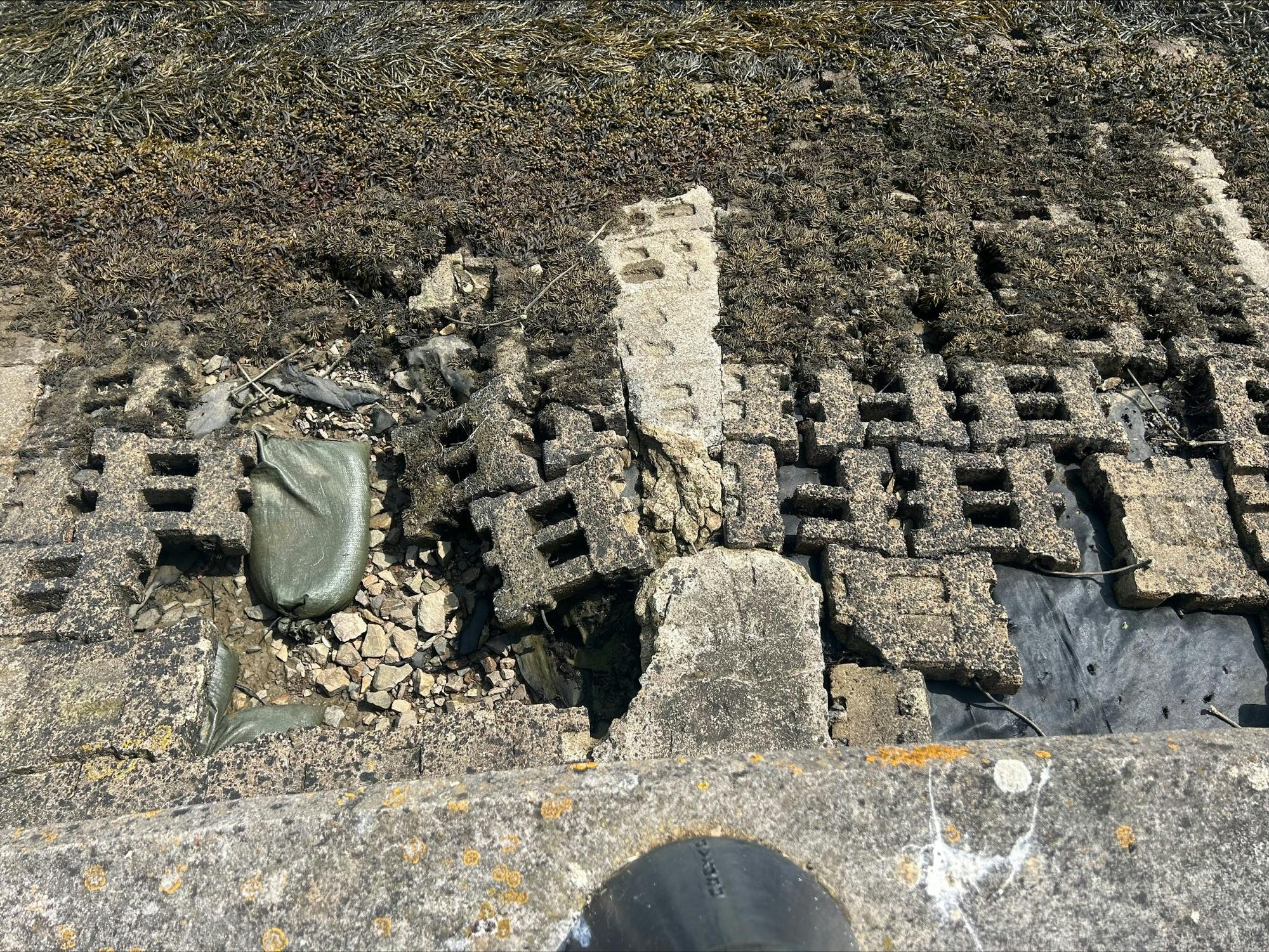 Existing Revetment Damage (9).jpeg