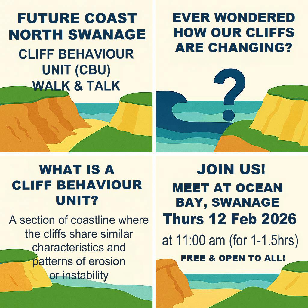 Designer (3) (1).png