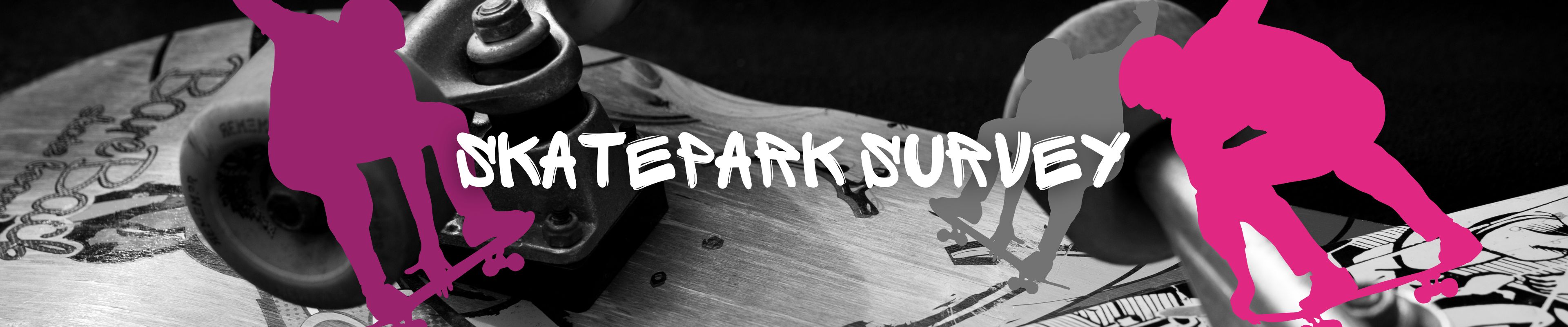 project banner